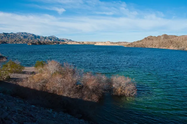Blue water of the Colorado River near Davis Dam with desert shrubs on the bank